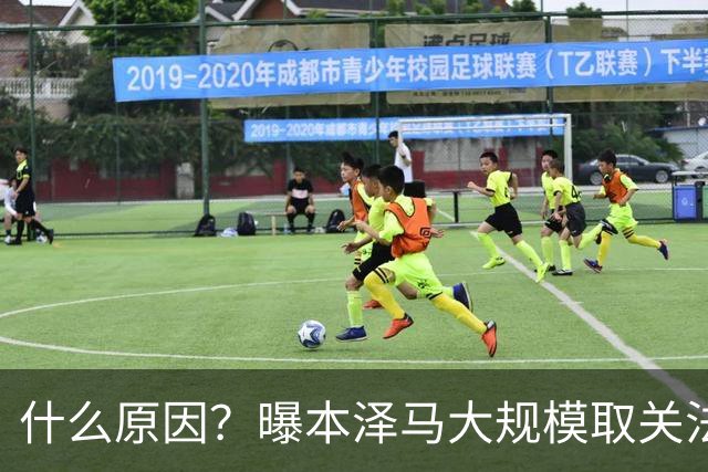 什么原因？曝本泽马大规模取关法国队队友
